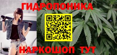 соль ск Кинель