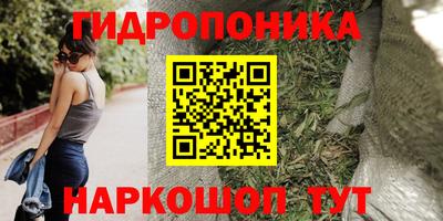 таблы Кингисепп