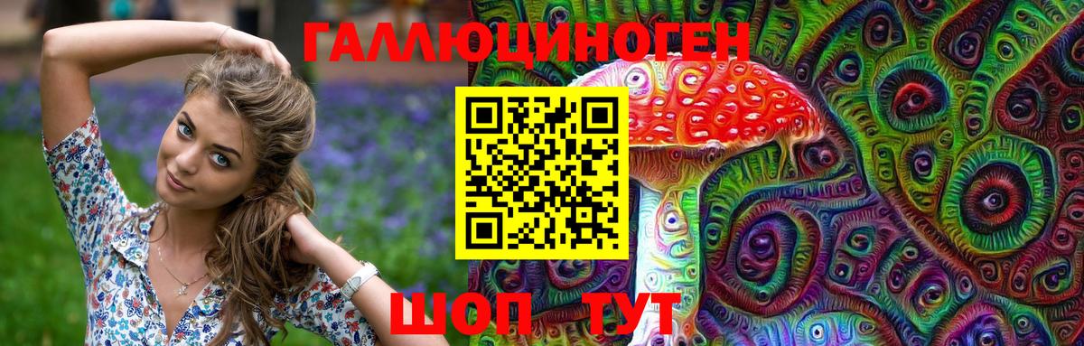 Псилоцибиновые грибы GOLDEN TEACHER  цены наркотик  Якутск  Псилоцибиновые грибы мицелий  Вход с VPN 