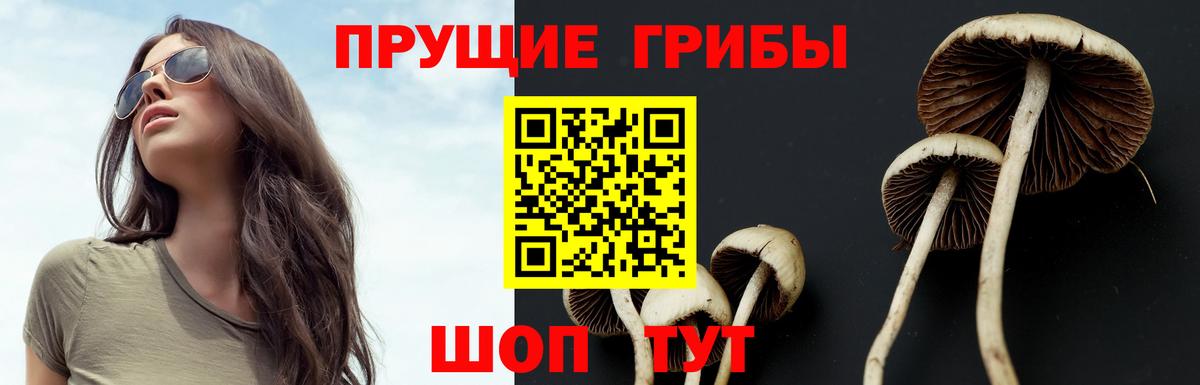 Галлюциногенные грибы мухоморы Якутск